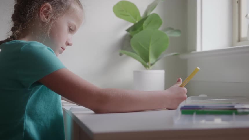 A young girl with braids drawing at a desk by a window indoors