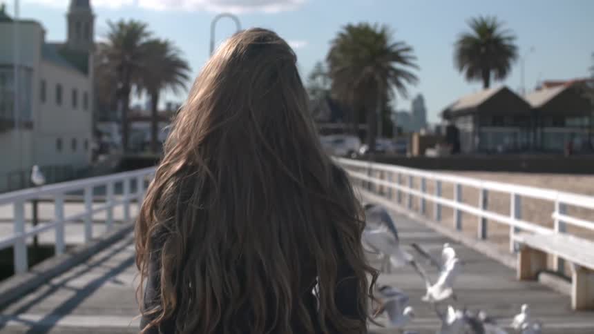 Woman walking on the boardwalk as birds fly away