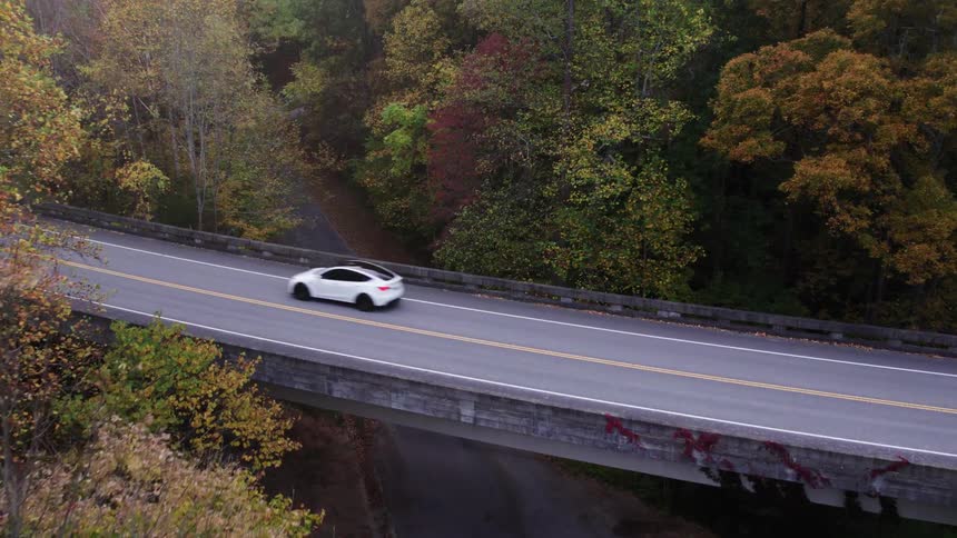 Car drives along a raised highway passing through the wood on an autumn day