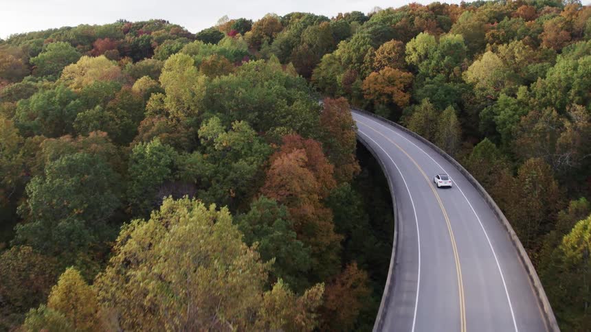 The car travels on the highway past the large forest