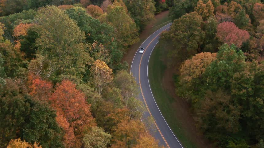 Car drives along a winding road surrounded by trees with autumncolored leaves
