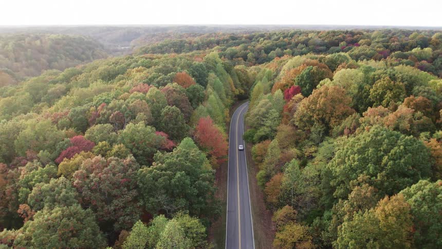 Car drives along a road surrounded by a forest with autumncolored trees