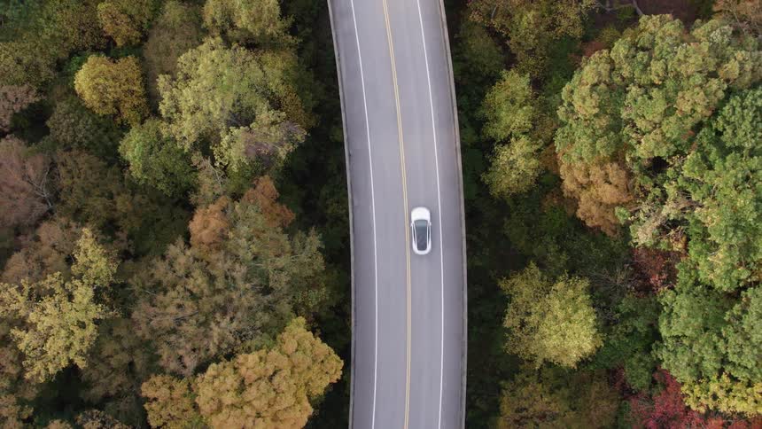 A sedan cruises along a countryside highway at midday flanked on both sides by dense forest trees sunlight filtering through the thick canopy