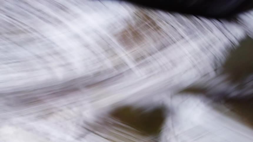 The drone flying over the forest crashes into a tree and falls