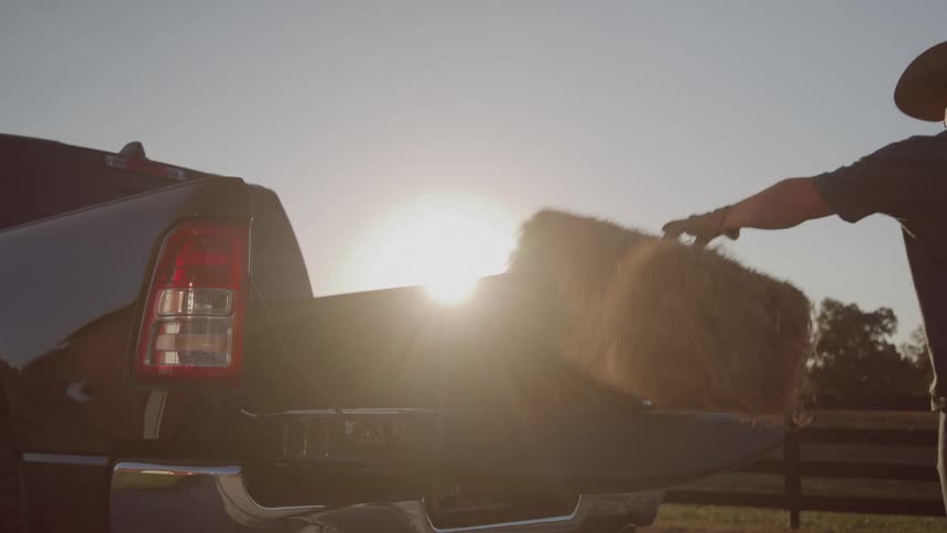 Man places a bale of hay in the bed of a pickup truck at sunset