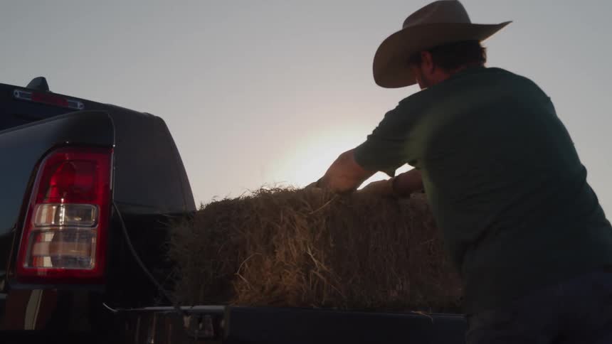 A male farmer loading a hay bundle into the back of a black truck outdoors at sunset