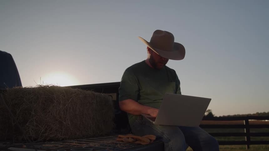The man is typing on his laptop while sitting on the bed of his truck
