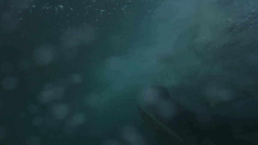 The woman dives underwater with her surfboard briefly