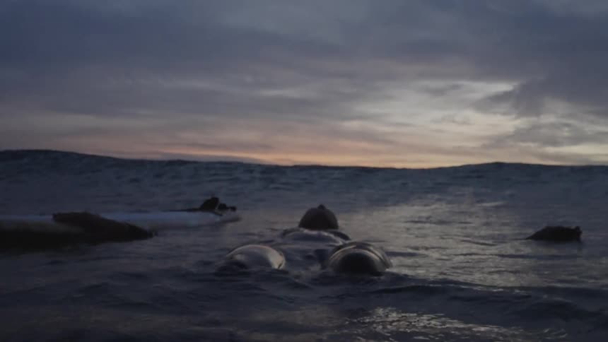 A woman in the ocean
