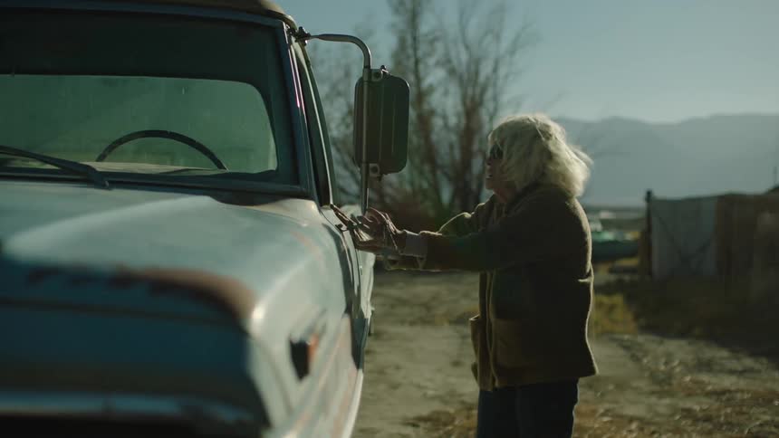 A woman feels towards the door of a car