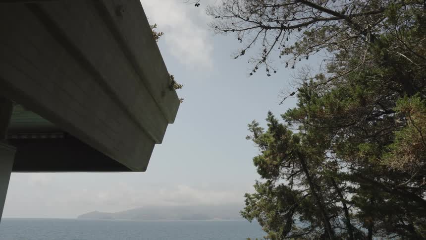 Looking from the corner of a roof to a nearby tree