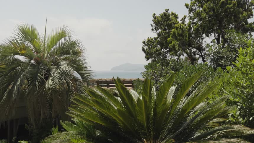 Tropical vegetation frames the distant view of mountains under a clear sky