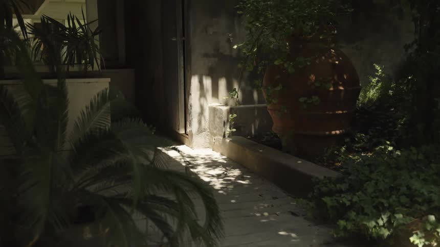 A shaded modern courtyard walkway leads past potted palms and dense greenery toward a dark door with dappled sunlight