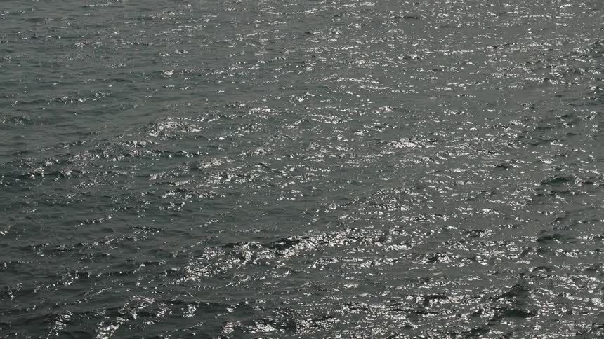 The sunlight reflects on the water