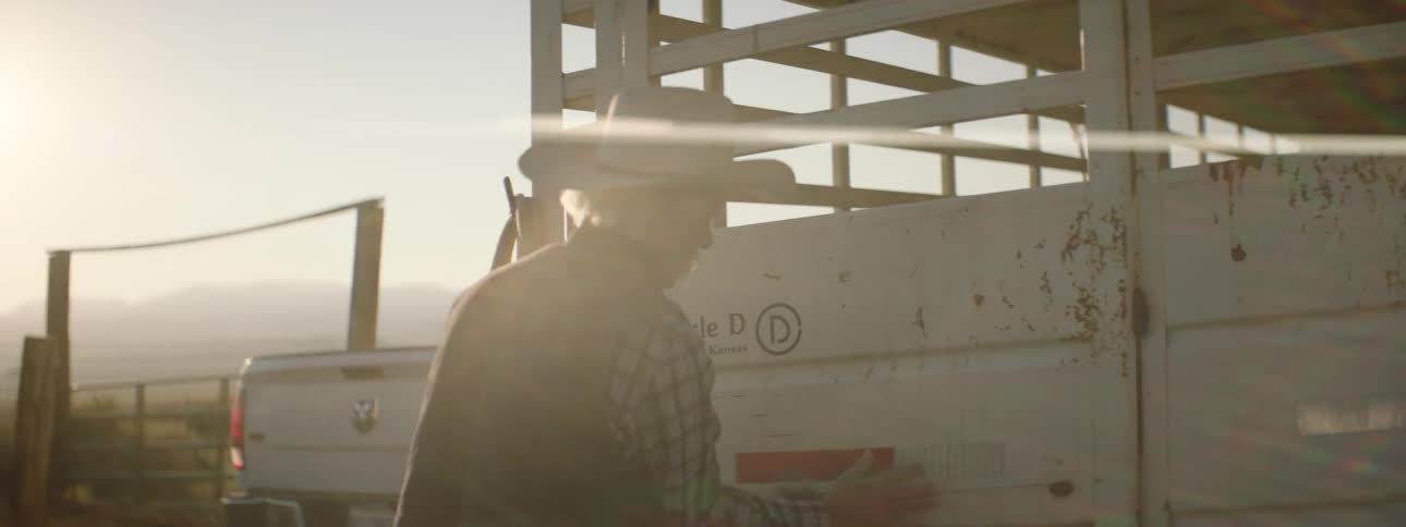 A man closes the back gate of a livestock trailer