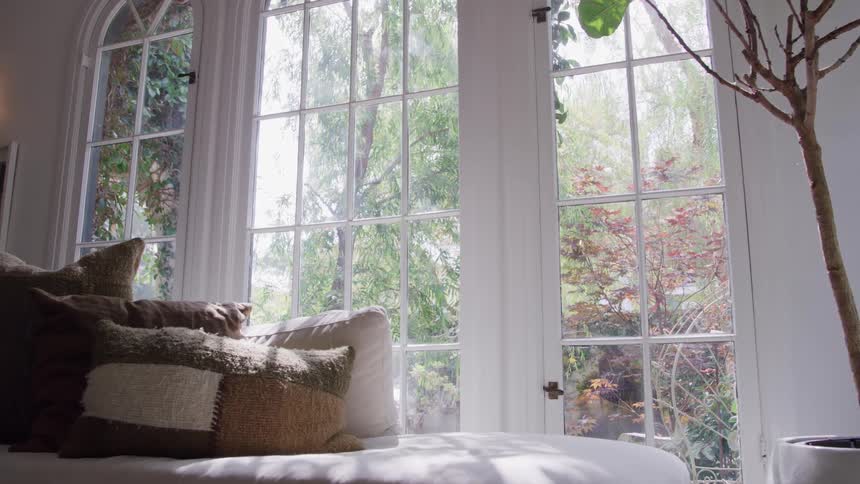 Couch with pillows illuminated by natural light coming through the windows