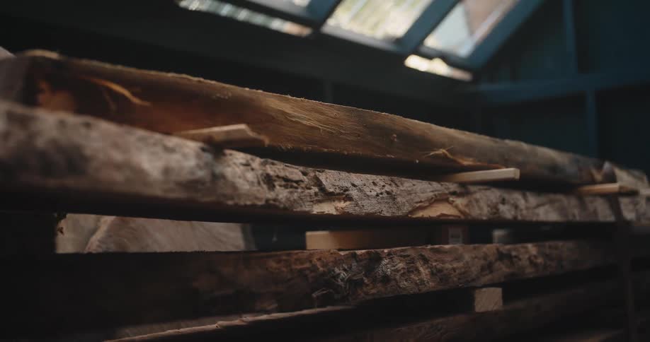 Wood logs stacked in a workshop shed