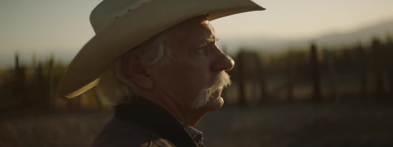 A man in a cowboy hat looks around the paddock