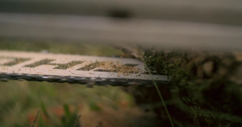 Chainsaw blade cuts through wood covered with moss and sawdust
