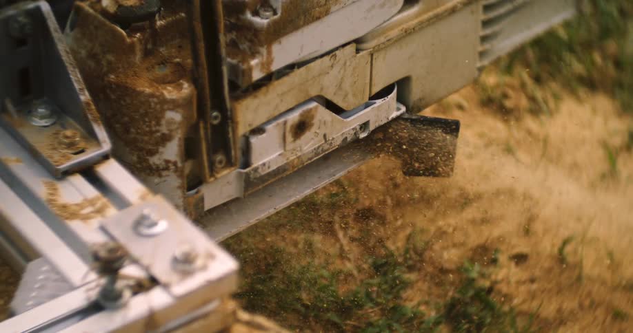 Sawdust flies from the chainsaw