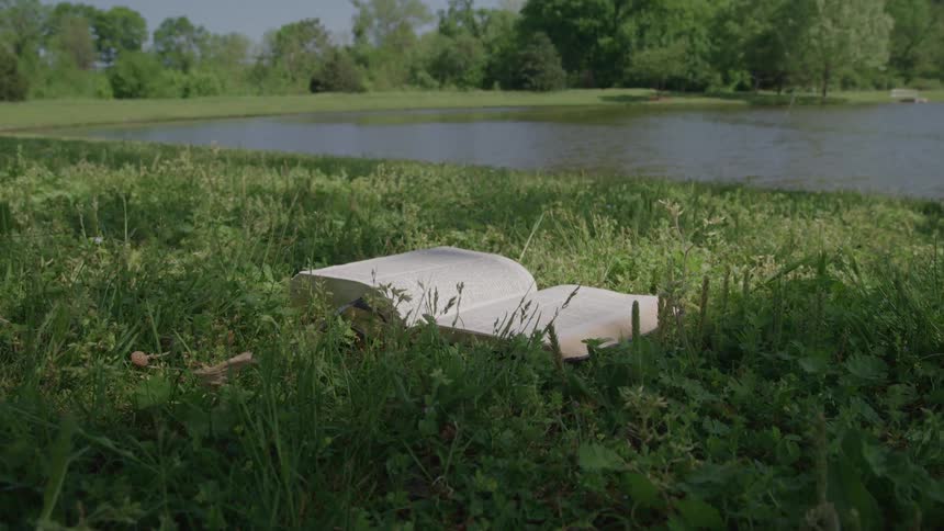 Book rests on the grass near a lake on a sunny day