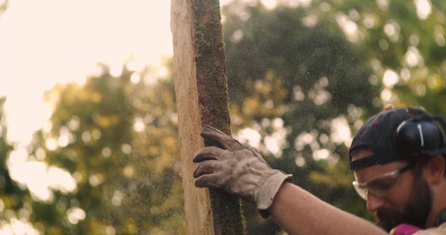 Man lifts a freshly cut wooden plank covered in sawdust