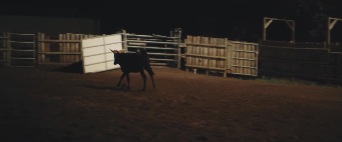 The bull is running towards the fence