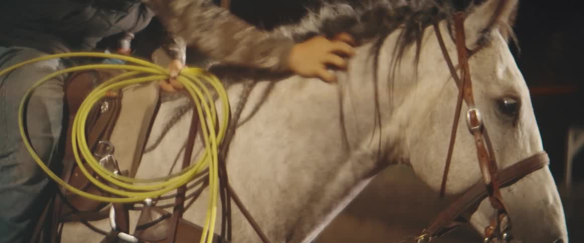 Person in camouflage shirt holds lasso while riding white horse with leather saddle