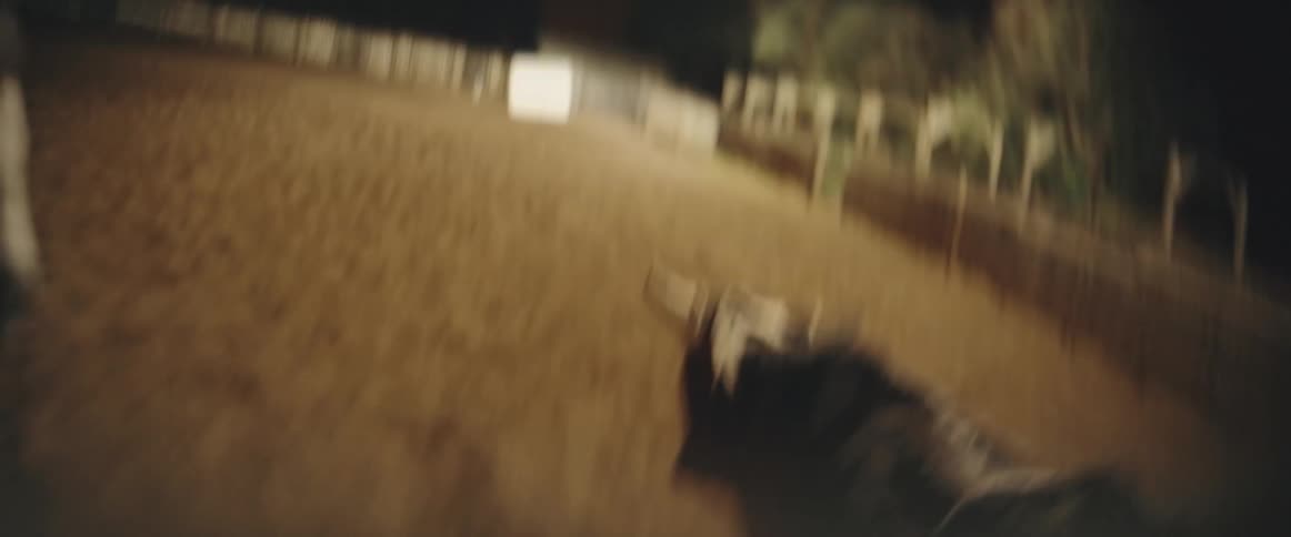 A darkcolored bovine animal with horns runs across a dirt arena floor while being filmed from behind a fastmoving white horse and rider all taking place at night with artificial lights illuminating the wooden boundary fences and archways