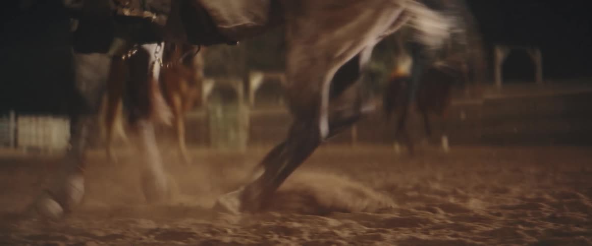 The man on the horse lifts an american flag