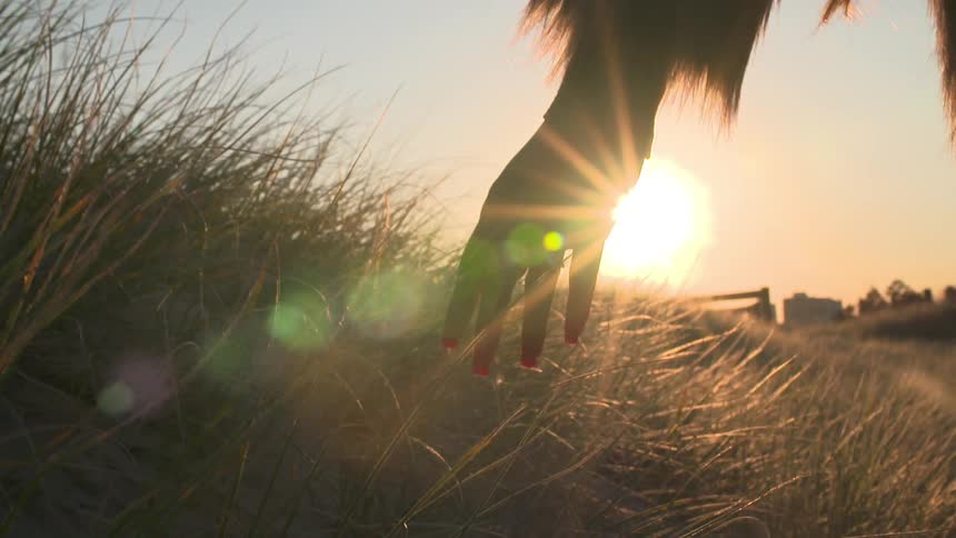 Woman gliding her hand through weeds