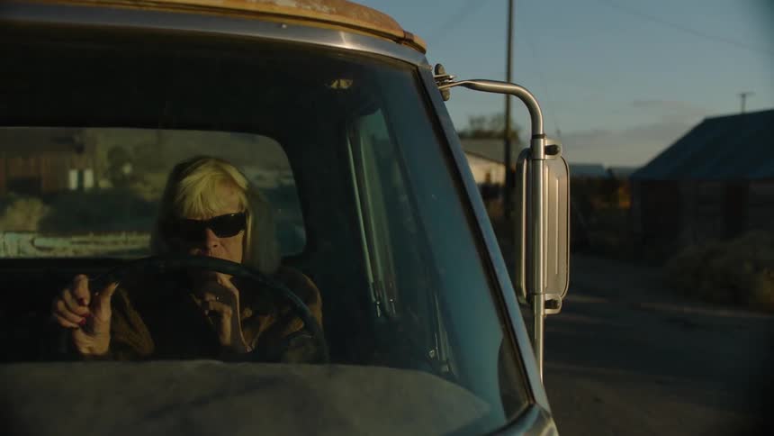 A woman is driving a vehicle at sunset