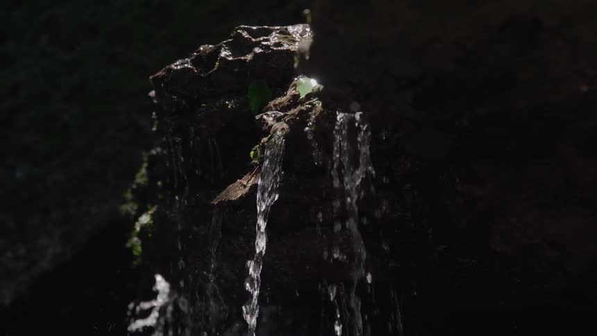Clear water runs in thin streams down the surface of a dark irregularly shaped rock covered with some green plant matter with the scene highly contrasted against a surrounding dark background