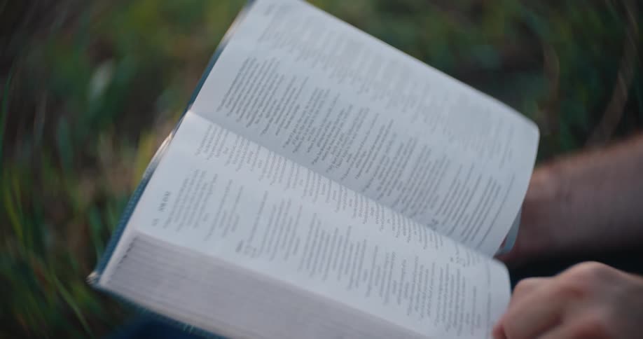 A person reading outside