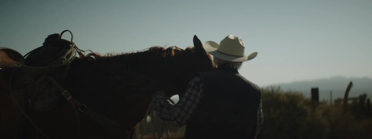 Man stands outside by a horse