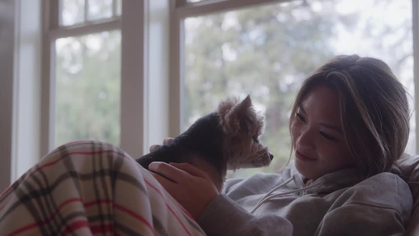 A close view shows a smiling woman wearing a gray hoodie and wrapped in a plaid blanket as she sits on a sofa affectionately petting a small yorkshire terrier dog by a large bright window
