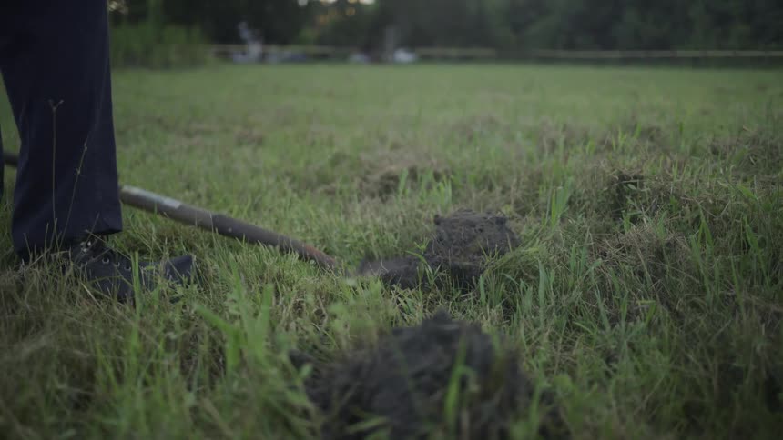 Close up of spade blade with man digging bare earth on a plot of land