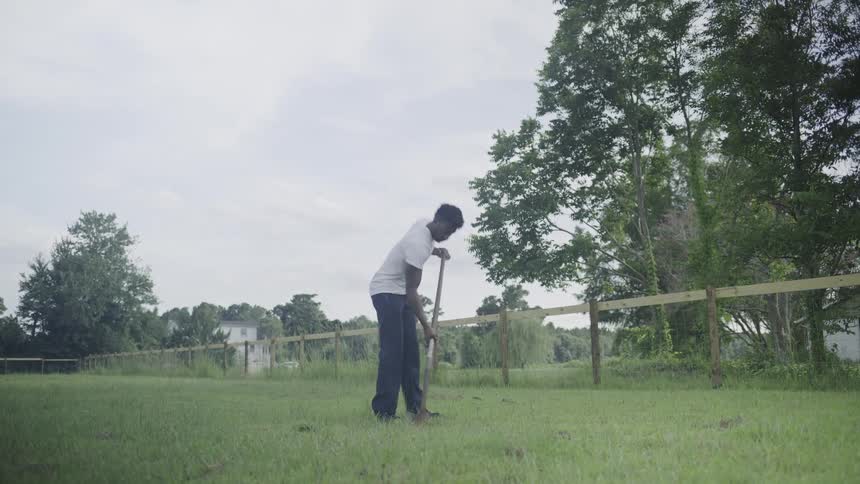 The video is a long shot of a man wearing a white tshirt and dark pants using a shovel to dig or rake in a grassy field the scene is outdoors on an overcast day with a wooden fence line and trees visible in the background