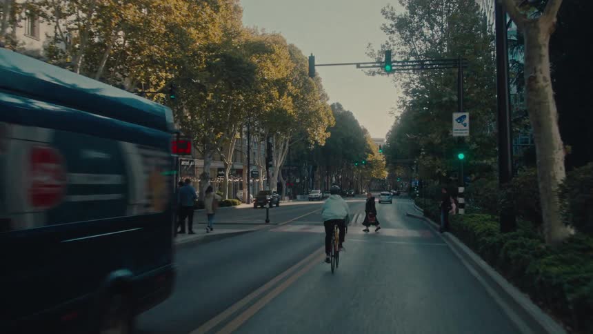 Cyclist rides along a treelined avenue on a sunny morning