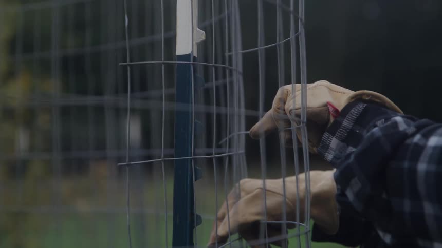 The video is a closeup of a persons hand wearing a tan work glove securing a piece of wire fencing or a wire cage the activity suggests outdoor work or gardening possibly protecting a newly planted tree or garden bed