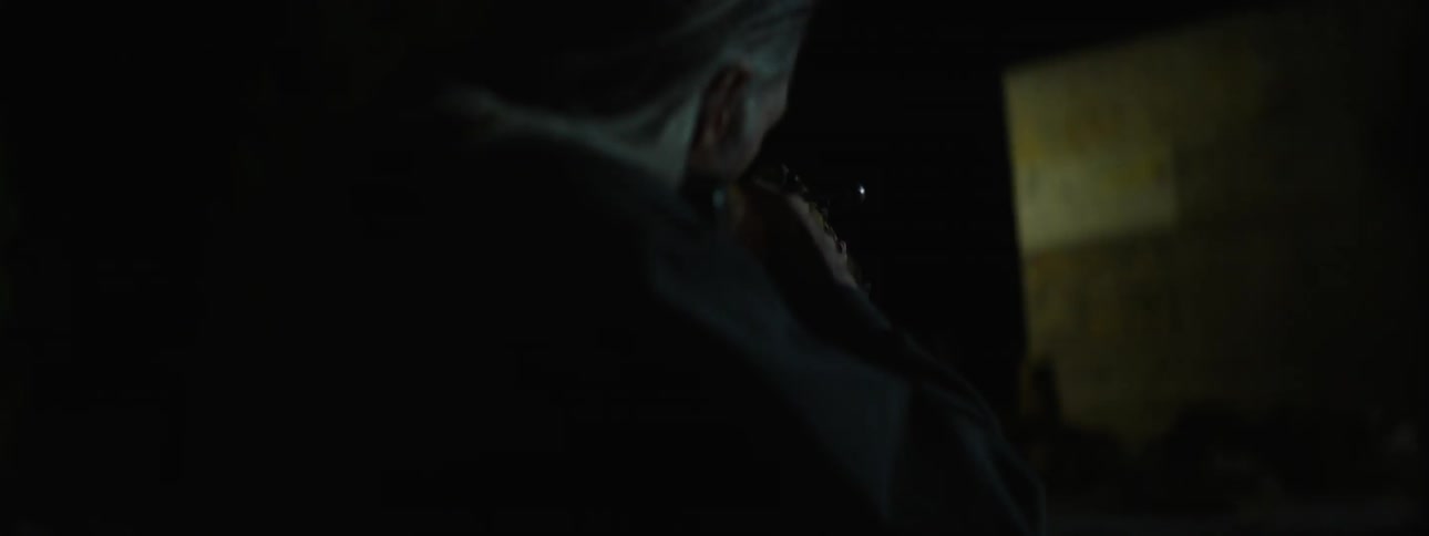 A person holding and aiming a gun at something outside