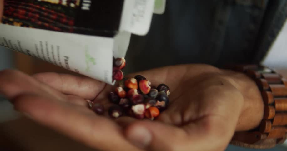 The video is a closeup shot of a hand shaking a small amount of seeds from a packet into the palm of the other hand the hand wearing a ring on the finger is shaking the seed packet