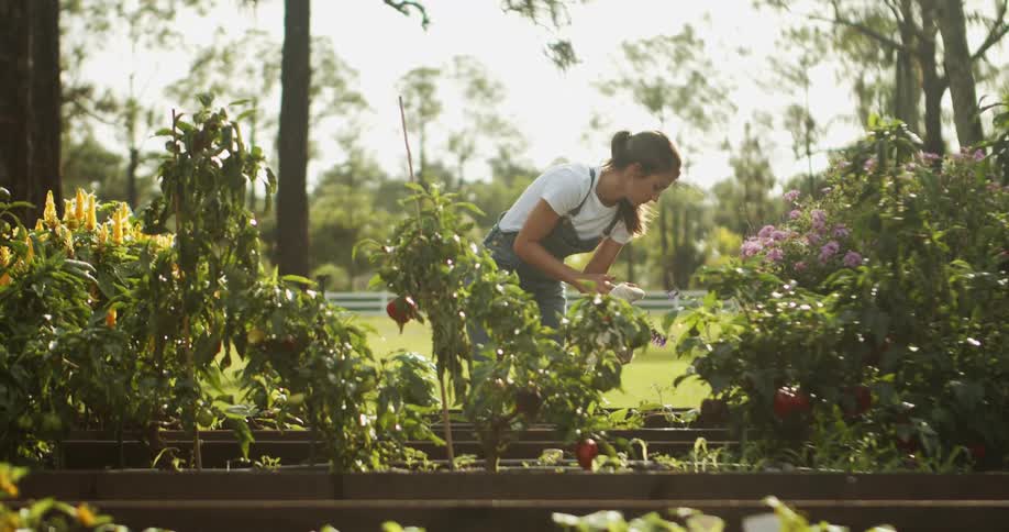 Young woman waring a jumpsuit inspecting a garden and wiping her hands with a cloth outdoors during day time