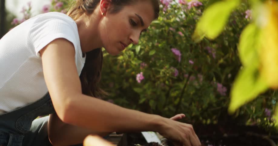 Woman plants seeds in a garden bed under the sun