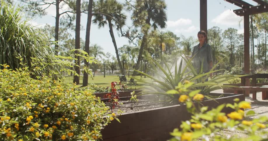 Woman waters plants in a sunny garden surrounded by greenery and yellow flowers