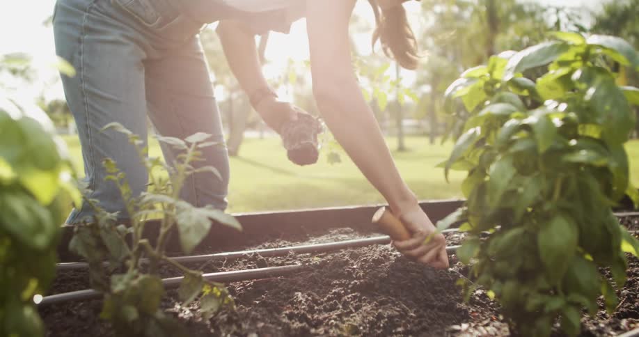 A young woman tilling the soil in an outdoor garden with a tool during daytime