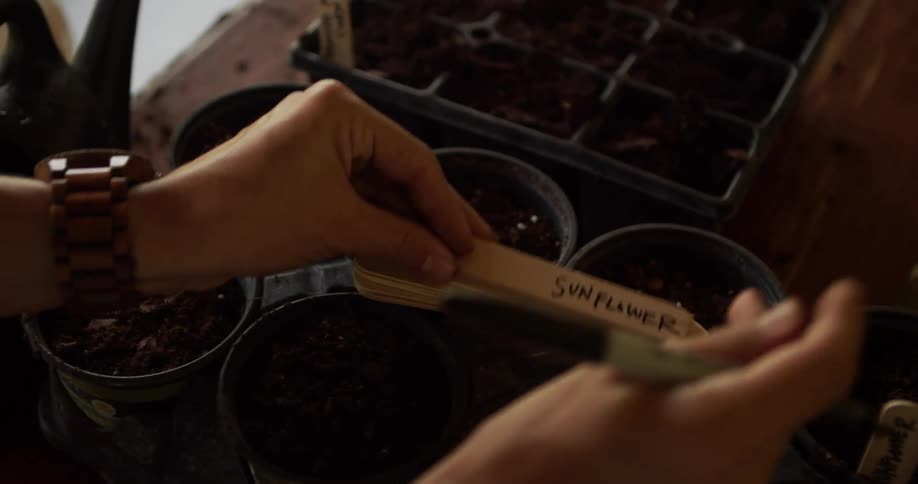 Hands label wooden marker beside soilfilled pots and seed tray