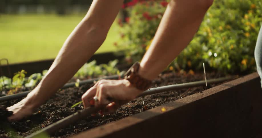 Person adjusts irrigation hose in a flowerfilled garden bed