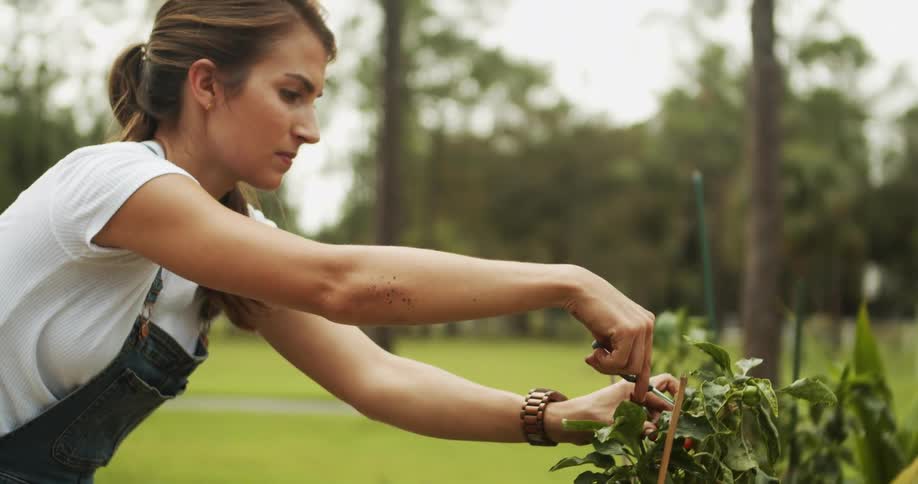 Young woman in the garden trimming plants using scissors outdoors during day time