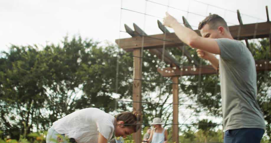 Couple sets up a wire fence while working in a flower garden